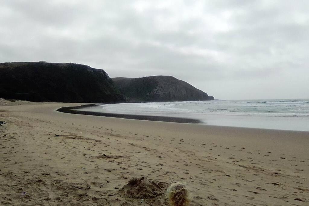 Wildview Self Catering Cottages Coffee Bay, Breakfast & Wi-Fi Inc المظهر الخارجي الصورة