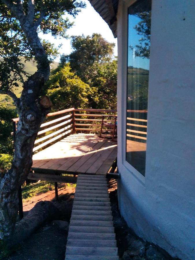 Wildview Self Catering Cottages Coffee Bay, Breakfast & Wi-Fi Inc المظهر الخارجي الصورة
