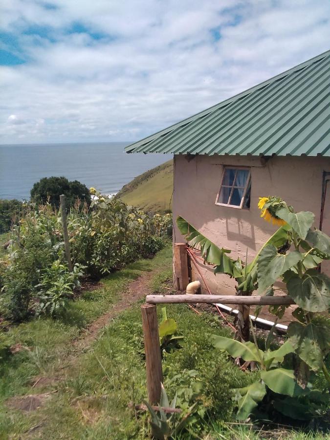 Wildview Self Catering Cottages Coffee Bay, Breakfast & Wi-Fi Inc المظهر الخارجي الصورة